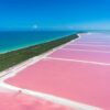 Las Coloradas & Rio Lagartos
