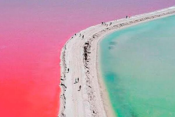 Las Coloradas & Rio Lagartos