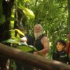 Tour de Cenotes Chaak-Tun