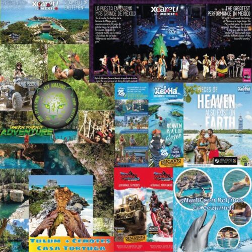Parques-cenotes-nado_con_delfines