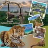 Tulum_parque_del_jaguar